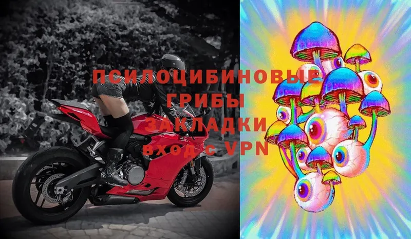 закладка  Ярцево  Псилоцибиновые грибы Magic Shrooms 